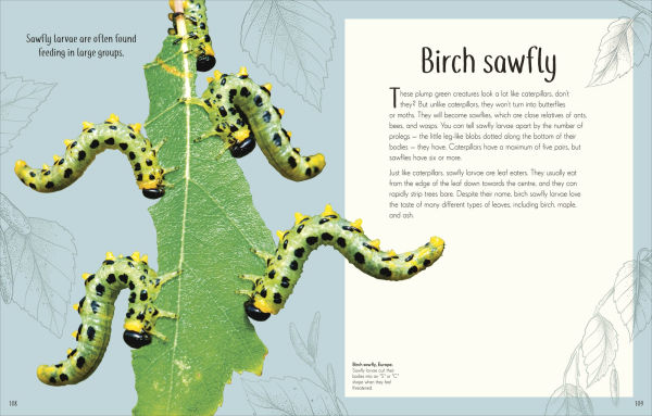 An Anthology of Remarkable Bugs