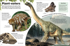 Alternative view 11 of Eyewonder Dinosaurs: Open Your Eyes to a World of Discovery