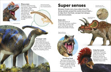 Alternative view 12 of Eyewonder Dinosaurs: Open Your Eyes to a World of Discovery