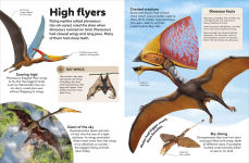 Alternative view 2 of Eyewonder Dinosaurs: Open Your Eyes to a World of Discovery