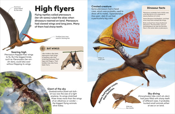Eyewonder Dinosaurs: Open Your Eyes to a World of Discovery