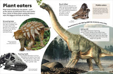 Alternative view 3 of Eyewonder Dinosaurs: Open Your Eyes to a World of Discovery
