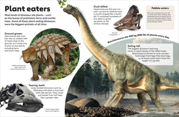 Eyewonder Dinosaurs: Open Your Eyes to a World of Discovery