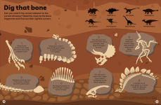 Alternative view 4 of Eyewonder Dinosaurs: Open Your Eyes to a World of Discovery