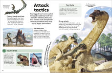 Alternative view 10 of Eyewonder Dinosaurs: Open Your Eyes to a World of Discovery