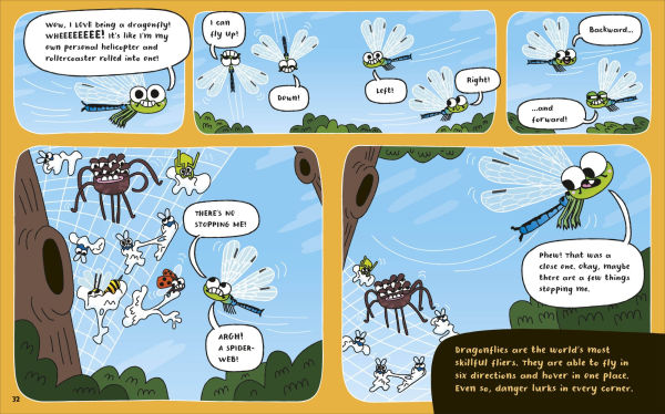 How to be a Dragonfly (in association with the Royal Entomological Society)