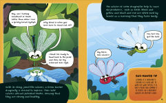 Alternative view 3 of How to be a Dragonfly (in association with the Royal Entomological Society)