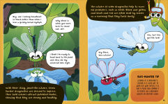Alternative view 4 of How to be a Dragonfly (in association with the Royal Entomological Society)