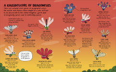 Alternative view 6 of How to be a Dragonfly (in association with the Royal Entomological Society)