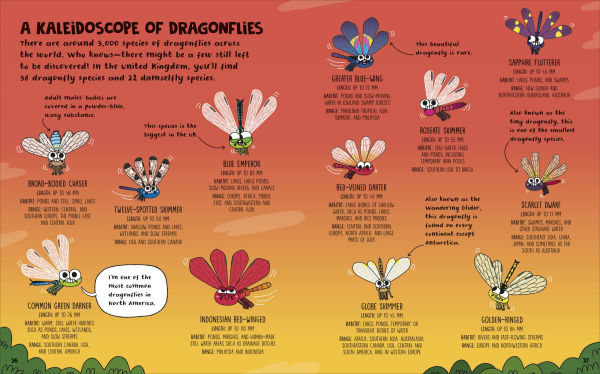 How to be a Dragonfly (in association with the Royal Entomological Society)