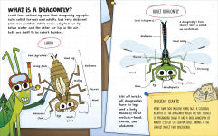 Alternative view 7 of How to be a Dragonfly (in association with the Royal Entomological Society)
