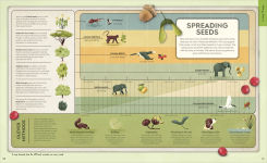 Alternative view 2 of Explore: Science: A Visual Journey Through Our World