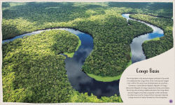 Alternative view 3 of Forest: Walk Through the Fascinating World of the Wild