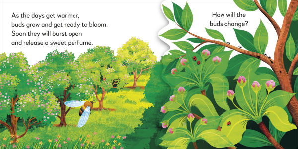 Pop-Up Peekaboo! Tree