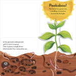 Alternative view 4 of Pop-Up Peekaboo! Tree