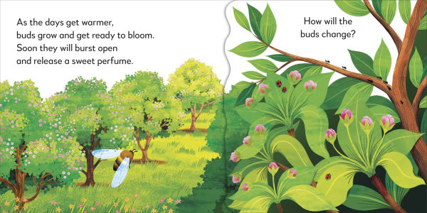 Pop-Up Peekaboo! Tree