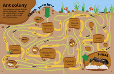 Alternative view 11 of Eyewonder Rainforest: Open Your Eyes to a World of Discovery