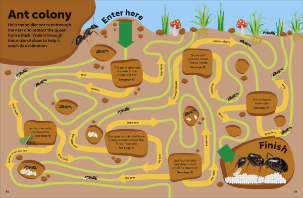 Eyewonder Rainforest: Open Your Eyes to a World of Discovery