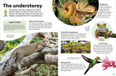 Alternative view 2 of Eyewonder Rainforest: Open Your Eyes to a World of Discovery