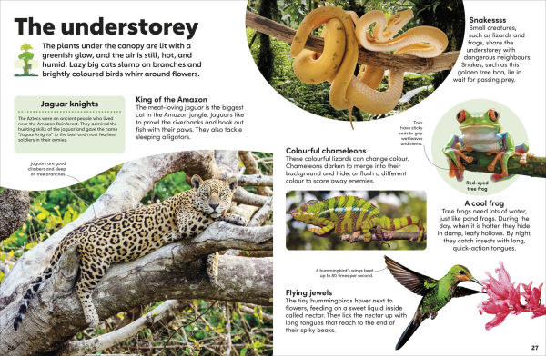 Eyewonder Rainforest: Open Your Eyes to a World of Discovery