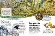 Alternative view 4 of Eyewonder Rainforest: Open Your Eyes to a World of Discovery