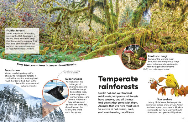 Eyewonder Rainforest: Open Your Eyes to a World of Discovery