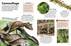 Alternative view 6 of Eyewonder Rainforest: Open Your Eyes to a World of Discovery
