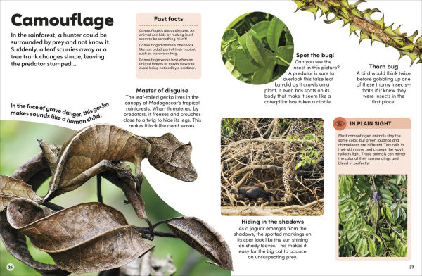 Eyewonder Rainforest: Open Your Eyes to a World of Discovery