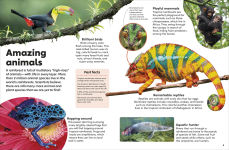 Alternative view 7 of Eyewonder Rainforest: Open Your Eyes to a World of Discovery