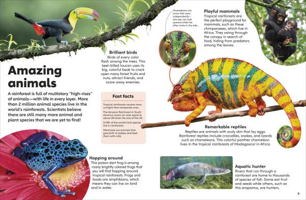 Eyewonder Rainforest: Open Your Eyes to a World of Discovery