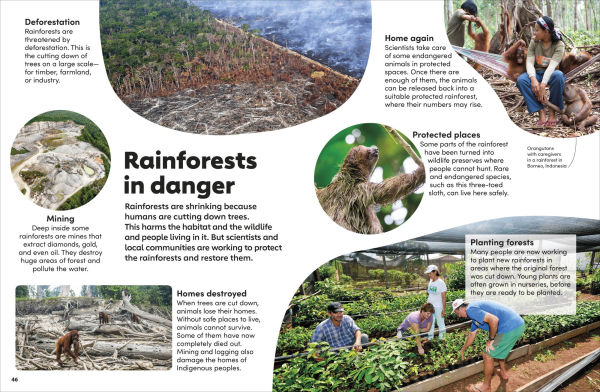 Eyewonder Rainforest: Open Your Eyes to a World of Discovery