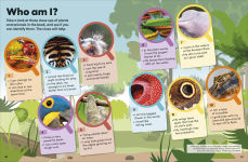 Alternative view 9 of Eyewonder Rainforest: Open Your Eyes to a World of Discovery