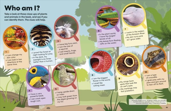 Eyewonder Rainforest: Open Your Eyes to a World of Discovery