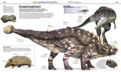 Alternative view 12 of Knowledge Encyclopedia Dinosaur!