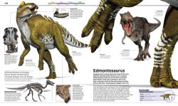 Alternative view 15 of Knowledge Encyclopedia Dinosaur!