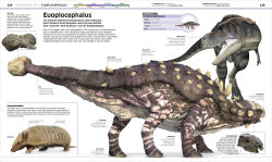 Alternative view 17 of Knowledge Encyclopedia Dinosaur!