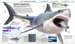 Alternative view 19 of Knowledge Encyclopedia Dinosaur!