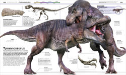 Alternative view 23 of Knowledge Encyclopedia Dinosaur!