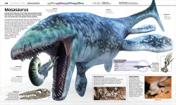 Alternative view 5 of Knowledge Encyclopedia Dinosaur!