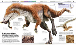 Alternative view 6 of Knowledge Encyclopedia Dinosaur!