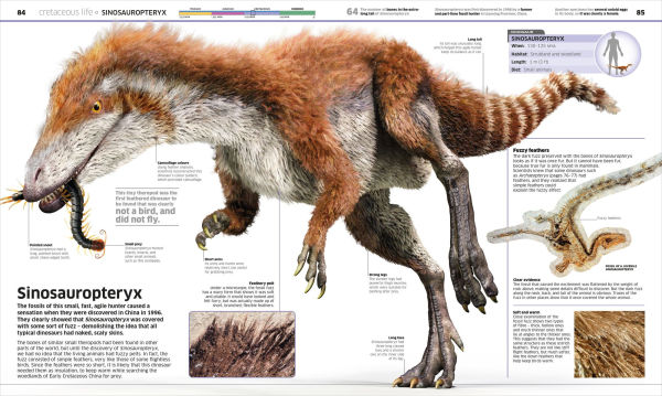 Knowledge Encyclopedia Dinosaur!