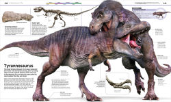 Alternative view 7 of Knowledge Encyclopedia Dinosaur!
