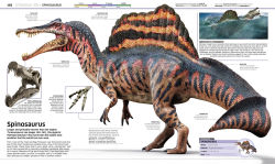 Alternative view 8 of Knowledge Encyclopedia Dinosaur!