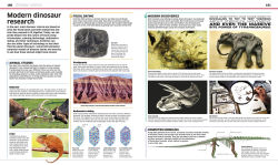 Alternative view 10 of Knowledge Encyclopedia Dinosaur!