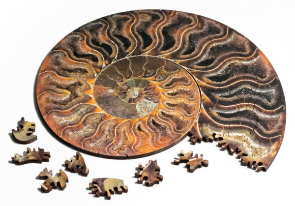 Ammonite Wooden Jigsaw Puzzle (117 Pieces)