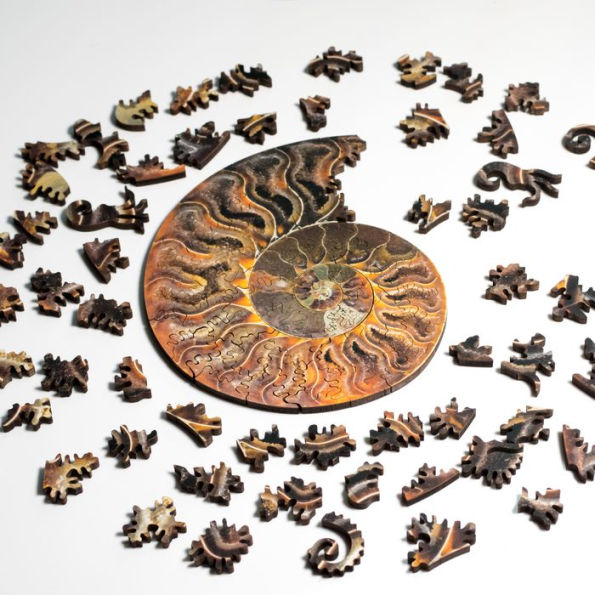 Ammonite Wooden Jigsaw Puzzle (117 Pieces)