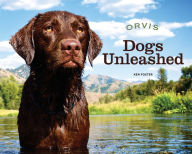 Title: Dogs Unleashed: Adventures with Our Best Friends, Author: Orvis