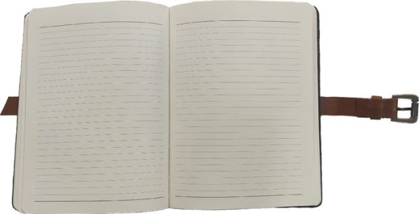 Bucked Suede Journal