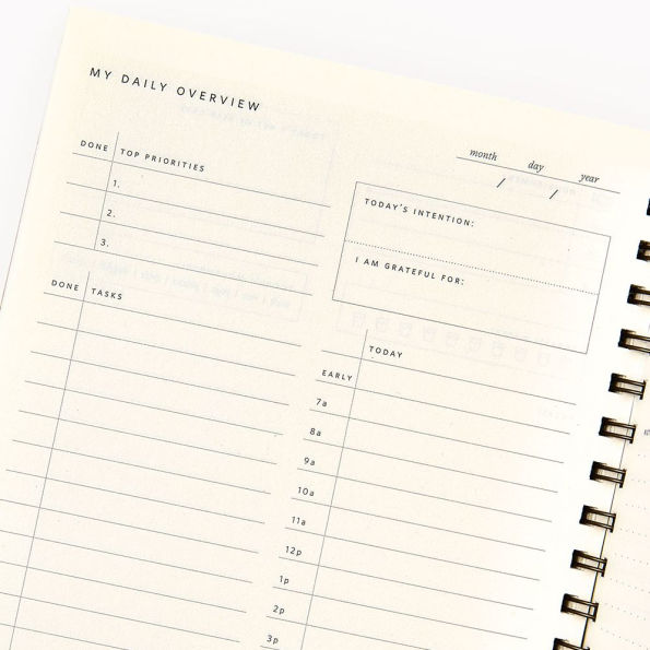 Sand Grid Paper Wasp Daily Planner
