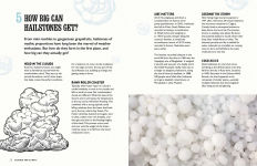 Alternative view 3 of WHO KNEW? The Big Book Of Questions